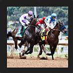 trixie bet horse racing
